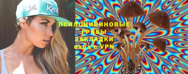 гашик Алзамай