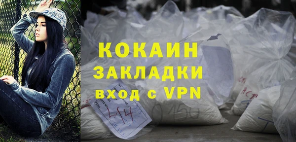 дживик Алексин