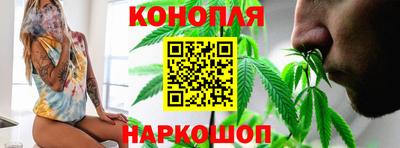 стаф Заводоуковск