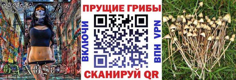 что такое наркотик  Усть-Илимск  мега ONION  Галлюциногенные грибы Psilocybe 